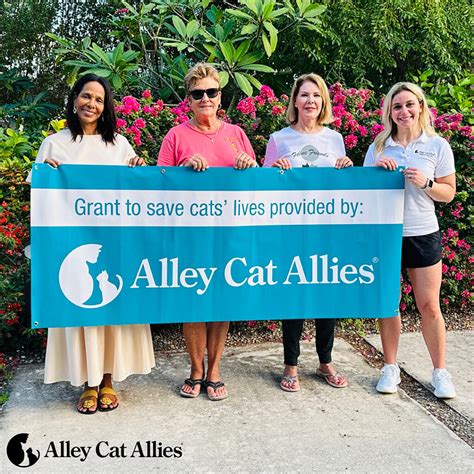 charities for cats|Alley Cat Allies .